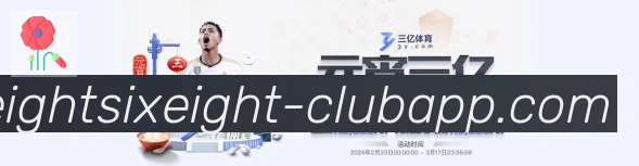 未来规划